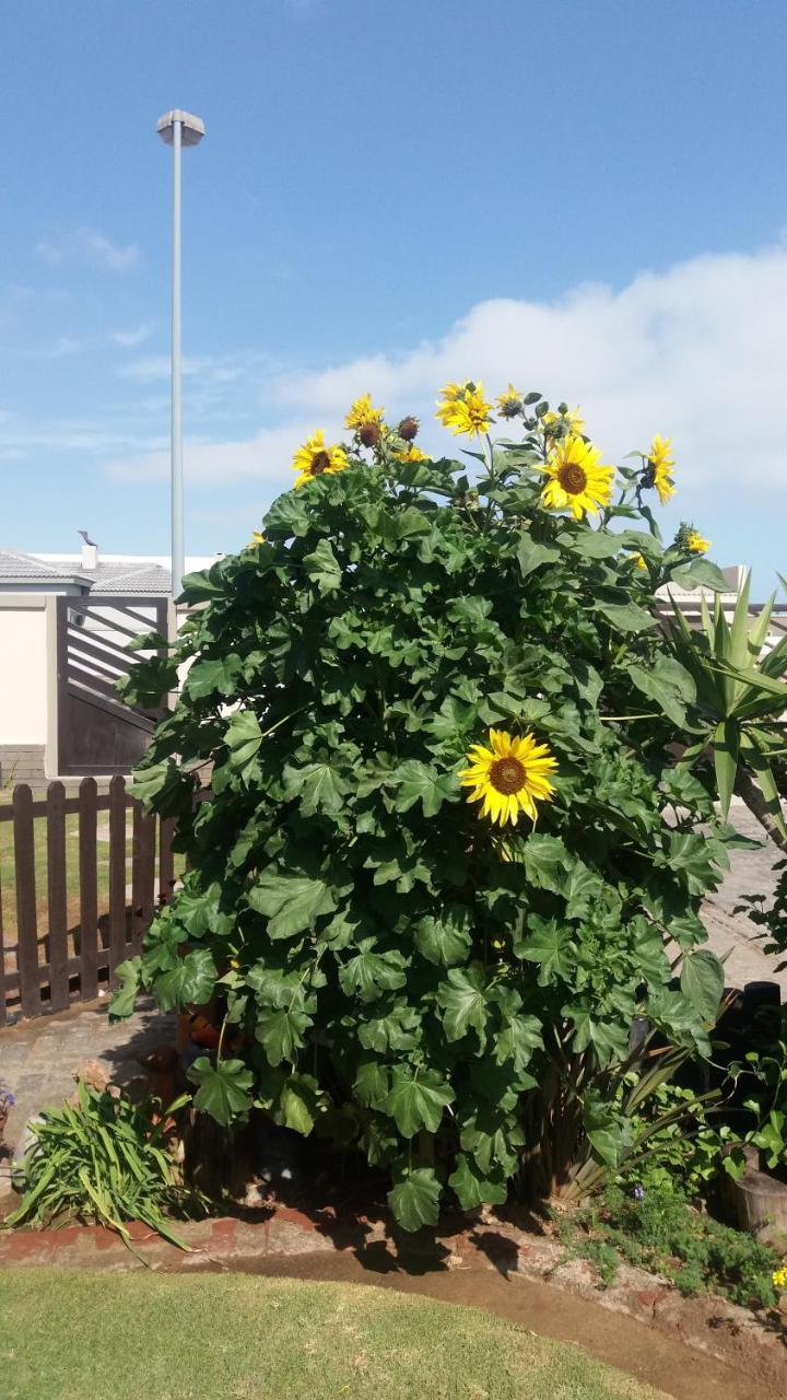 Sunflower Self-Catering Walvis Bay Exteriör bild