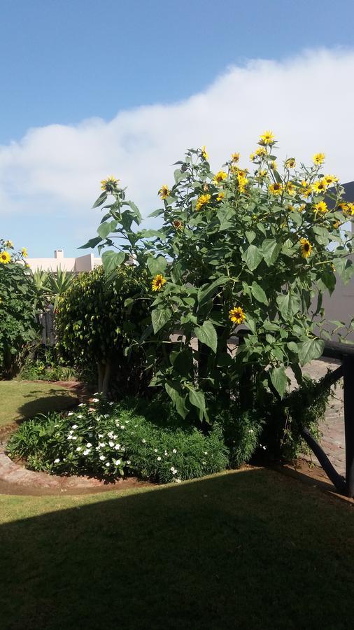 Sunflower Self-Catering Walvis Bay Exteriör bild