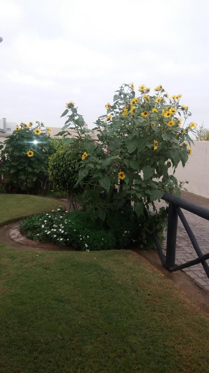 Sunflower Self-Catering Walvis Bay Exteriör bild